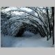 31_01_10 CISA 104.JPG